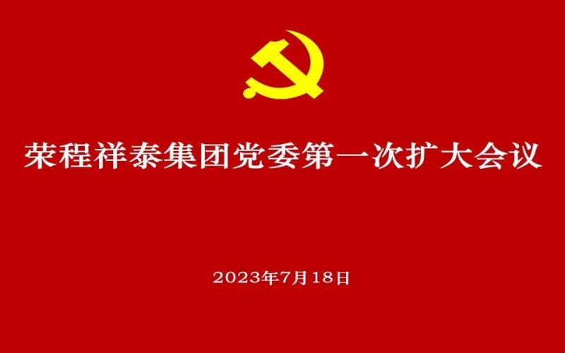 榮程祥泰集團黨委獲批成立 黨委高標準部署推動選舉工作