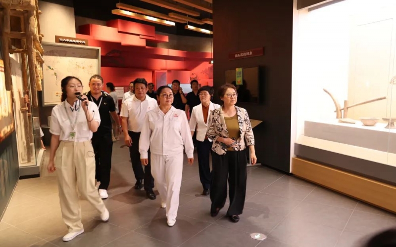 葛沽鎮開展“三游合一”項目調研考察