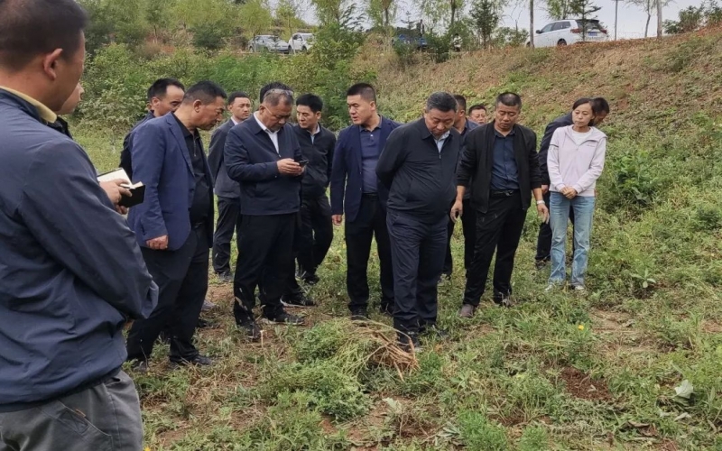 天水市政協副主席、清水縣委書記馬越垠到“榮程百草莊園”中藥材試驗基地調研中草藥產業發展工作