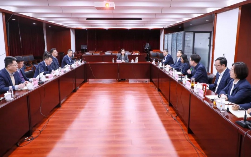 張君婷總裁到融誠物產集團二級公司調研指導工作