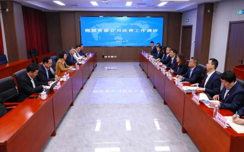 張穎總經理帶隊深入能源資源公司調研指導工作