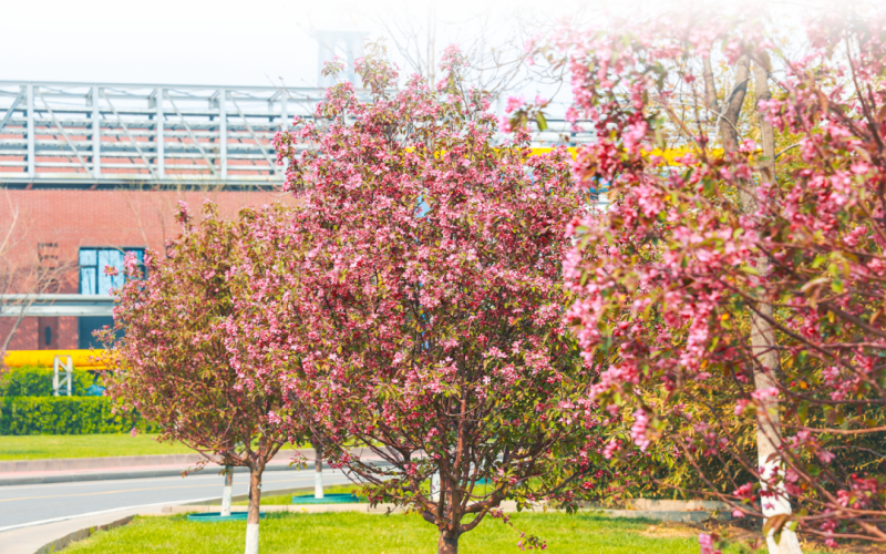 榮程視覺 - 來，一起走進春天里的榮程鋼鐵