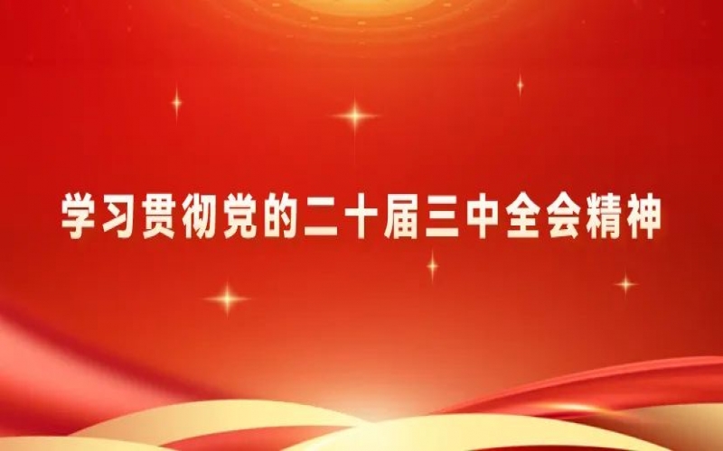 學習貫徹黨的二十屆三中全會精神 - 榮程青年為推進中國式現代化挺膺擔當（三）